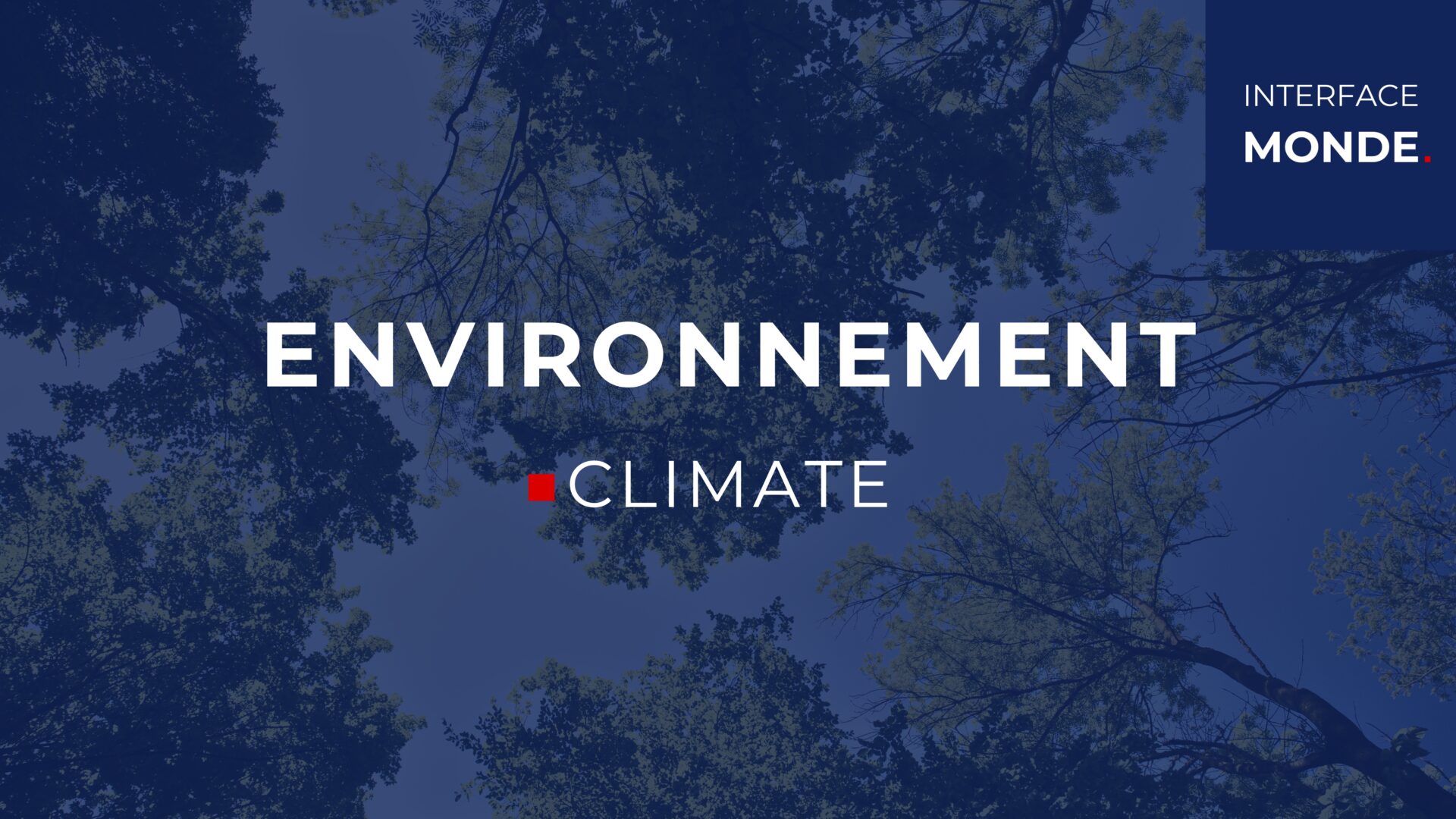 interface monde environnement